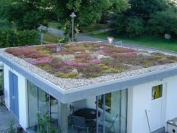 Nebengebaude Mit Extensiver Begrunung Flachdach Begrunung Extensive Begrunung Uberdachung Garten