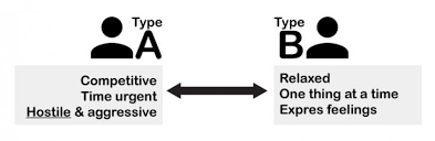 Type a and type b personality belong to such a typology. Type B Personality Psychestudy