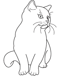 When we ask to describe anyone about their cat in a word, they would come up with simple answers stating she is cute and adorable. Kitten Coloring Pages Best Coloring Pages For Kids Animal Coloring Pages Cat Coloring Page Cat Coloring Book