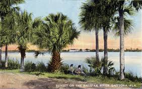 Nine palm trees have been planted in four halifax parks, although the jury is out on whether they 1, 2018. Two People Enjoy The Sunset On The Halifax River Daytona Florida Clippix Etc Educational Photos For Students And Teachers