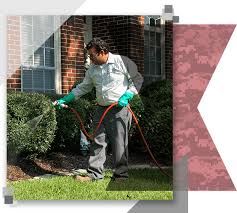 Five/2/2017 my assistance from you has normally been fantastic. Houston Pest Control Preventive Pest Control