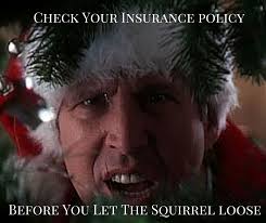 Check Your Insurance Policy Before You Let The Squirrel Loose Life Insurance Marketing Insurance Meme Insurance Humor