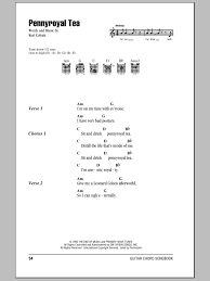 Nirvana Pennyroyal Tea Digital Sheet Music By Nirvana Guitar Chords And Lyrics Nirvana Guitar Nirvana Lyrics