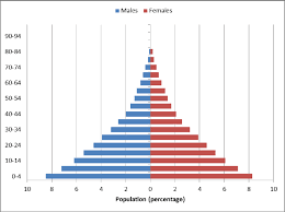 We did not find results for: A Few High Yield Facts On Population Pyramids Feel Free To Add Your Own In The Comments Step1