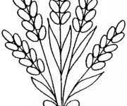 coloriage champs elysees en france dessin gratuit a imprimer coloriages minecraft