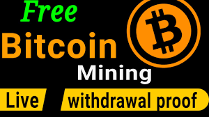 What islam says on online forex trading. Crypto Staking Halal Or Haram Is Staking Halal In Islam Staking Binance Youtube