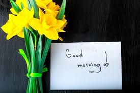 Pin By Sarika On Greetings Good Morning Flowers Quotes Flower Quotes Daffodil Flower