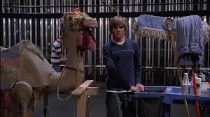 Camels is an exercise for the b2 first use of english set at an upper intermediate level of english. High School Musical Here S What Twinkle Towne Might Be About