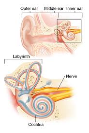 Vestibular neuritis causes vertigo that may accompany blurred vision, severe. When Your Child Has Vertigo