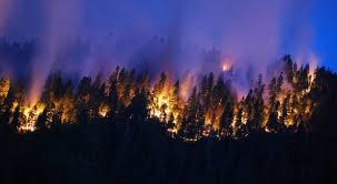 Image result for prophetic signs