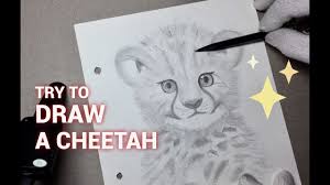 Art supplies this is a list of. Try To Draw A Baby Cheetah çµè±¹ Happy Zoo 11 Step By Step Pencil Animal Drawing Youtube