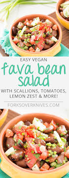 Fava Bean Salad Recipe Fava Beans Salad Dried Fava Bean Recipe Bean Salad Recipes
