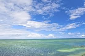 Ia juga mempunyai kedalaman purata 4280 meter, walaupun pada titik tertentu ia boleh melebihi 11, 000. Taman Laut Terbesar Dunia Luasnya Kira Kira Tiga Kali Negara Jerman National Geographic