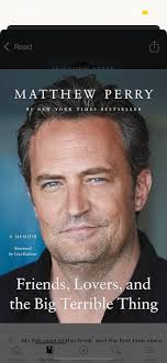 Hi guys! So I read The Ever King and The Ever Queen (by LJ Andrews) and  really loved both. I was so excited to hear there was a third one (kind of