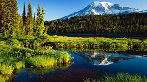 Maybe you would like to learn more about one of these? Things To Do In Seattle The Pacific Northwest Our Guide To Activities In Seattle The Pacific Northwest