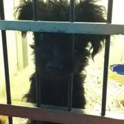 One of montana's most popular and widely known contemporary graphic artists; Jack S Pet Center 27 Photos 31 Reviews Pet Stores 508 Central Ave Great Falls Mt Phone Number Yelp