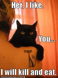 Pin By Kalen Weigel On Tattoos Crazy Cats Black Cat Tattoos Cats And Kittens