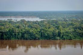 The congo basin is the second largest tropical rainforest in the world, with almost 2 million square overall, the congo basin contains relatively intact forest, although mining, commercial logging. The Congo Basin Nicfi