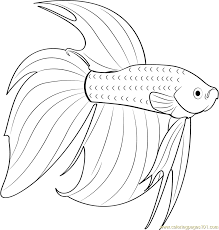 Click on handouts to print full resolution versions. Betta Fish Coloring Pages Denaro Colors