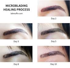 Eyebrow Microblading Embroidery Review Before After Lab Muffin Beauty Science