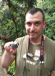 Massachuses Buerflies