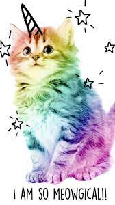 Download Kitten Wallpaper By Rainbowrose1993 40 Free On Zedge Now Browse Millions Of Popular Cat Kitten Wallpaper Cute Cat Wallpaper Cat Phone Wallpaper