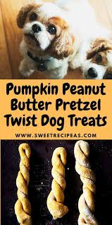 Pumpkin dog treat cookies, gingerbread dog treats, veggie bones, minty fresh herbal does your dog love fish? 690 Veggie Dog Treat Recipes Ideas In 2021 Dog Treat Recipes Treat Recipe Biscuit Recipe