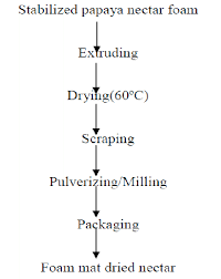 Flow Chart For The Production Of Foam Mat Dried Papaya