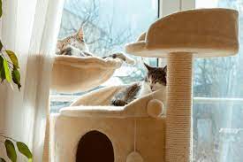 Apr 03, 2020 · consider the camada at tuft + paw the rolls royce of cat litter box enclosures. How To Build A Diy Cat Tower In 9 Steps This Old House