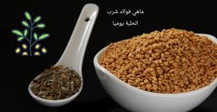 ايهم اكثر فوائد أكل البصل النيء او بعد طبخه. Ù…Ø§Ù‡ÙŠ ÙÙˆØ§Ø¦Ø¯ Ø´Ø±Ø¨ Ø§Ù„Ø­Ù„Ø¨Ø© ÙŠÙˆÙ…ÙŠØ§ Ø¨Ø±Ùˆ Ø³Ø§ÙŠØªÙŠ