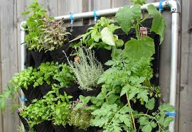 Vertikale Garten Energieleben
