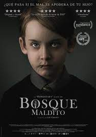 If you want to know more about, if you're curious about the proccess behind it, if you feel confused about release dates or you'd like to know my guilty pleasures of the year, please check the full article on my website. The Hole In The Ground 2019 Imdb