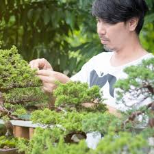 Maybe you would like to learn more about one of these? 10 Rekomendasi Gaya Bonsai Paling Unik Dan Menarik Ini Cocok Dijadikan Dekorasi Untuk Mempercantik Rumah