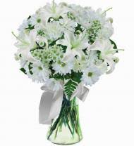 Maybe you would like to learn more about one of these? Lexington Florist Lexington Ky Flower Delivery Avas Flowers Shop
