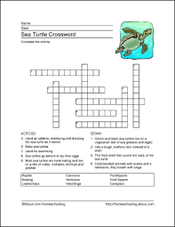 Learn About Sea Turtles With These Free Printable Worksheets Sea Turtle Turtle Turtle Activities