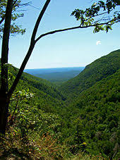 The catskills of new york are a dissected plateau, a highland worn into mountains and valleys by erosion. Catskill Mountains Wikipedia