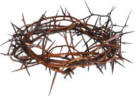 Free Crown Of Thorns Transparent Background, Download Free Crown Of Thorns  Transparent Background png images, Free ClipArts on Clipart Library