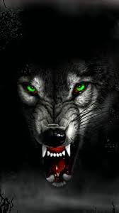 You can also upload and. Black Wolf Hd Wallpaper For Android
