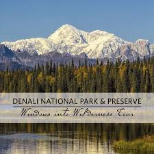 Book your tickets online for denali national park, alaska: Windows Into Wilderness Tour Reservedenali Com Denali National Park Denali National Park Alaska Alaska Travel