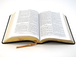 Free Bible Download Free Clip Art Free Clip Art On Clipart Library