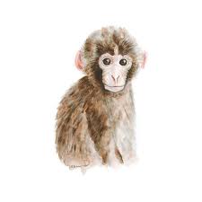 Check out our jungle canvas prints selection for the very best in unique or custom, handmade pieces from our shops. African Animals Canvas Watercolor Print Decor Elephant Monkey Animal Nursery Art Mural Prints Safari Nursery Decor Nursery Jungle Poster Prints Art Collectibles
