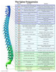 The Spine Frequencies Spooky2 Healing Frequencies Healing Codes Spine Health