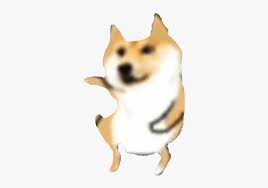 Jump to navigation jump to search. Doge Meme Freetoedit Akita Inu Hd Png Download Kindpng