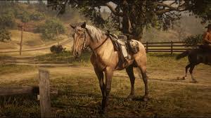 Find this pin and more on buckskin horses / caballos bayos by meran rios. Wish We Could Get More Horse Breeds With The Buckskin Coat Reddeadredemption