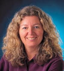 Electric Ferry Proposed for Island