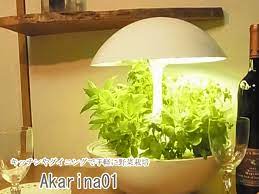 楽天市場 アカリーナ akarina01 terrara 灯菜 led水耕栽培器 野菜栽培キット 水耕栽培 インテリア野菜栽培 室内 家庭菜園 ギフト プレゼント インテリア 雑貨 憩いの店オアシス 水耕栽培 家庭菜園 室内 栽培