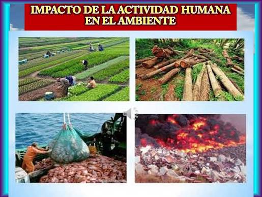 Impacto de Actividad Humana en el Ambiente Quiz