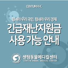 Check spelling or type a new query. ë¶€ì‚° ì „êµ­ë¯¼ ê¸´ê¸‰ìž¬ë‚œì§€ì›ê¸ˆ ì‚¬ìš© ê°€ëŠ¥ ì•ˆë‚´ ì„¼í…€amc ê³µì§€ì‚¬í•­