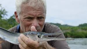 River Monsters Watch Full Episodes More Animal Planet Jeremy wade returns to australia's fitzroy river on his toughest quest yet. river monsters watch full episodes