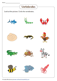 Identify Circle The Vertebrates Vertebrates And Invertebrates Vertebrates Invertebrates